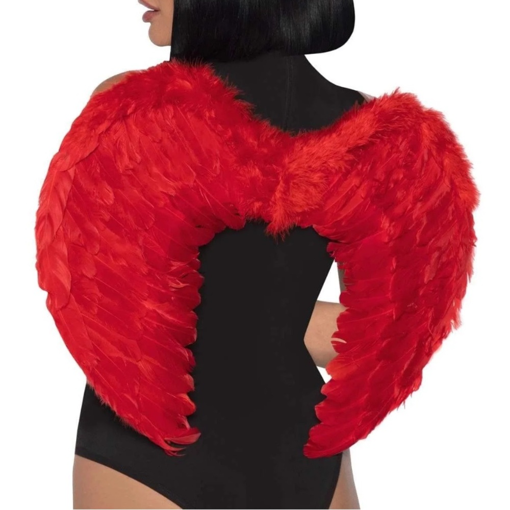 Red Feather Angel Wings 17”x14”‎